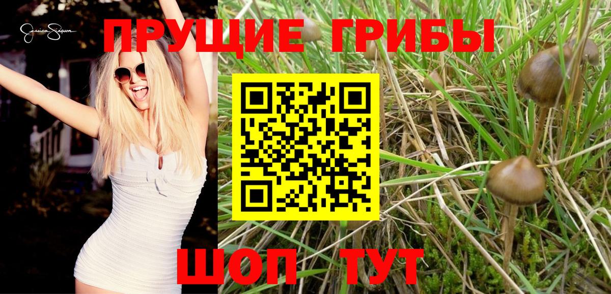 Галлюциногенные грибы ЛСД  Вход с VPN  Апатиты 